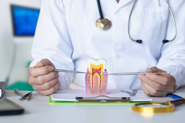 Best Cracked Tooth Emergency Dentist  in Twin Falls, ID